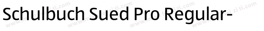 Schulbuch Sued Pro Regular字体转换